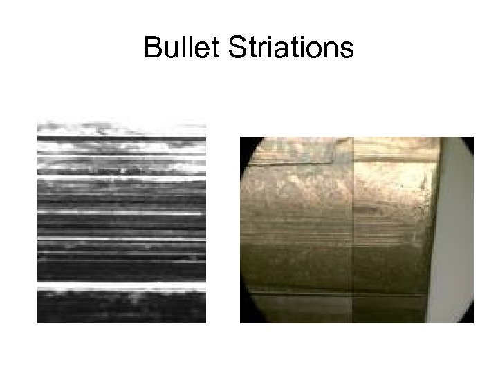 Bullet Striations 
