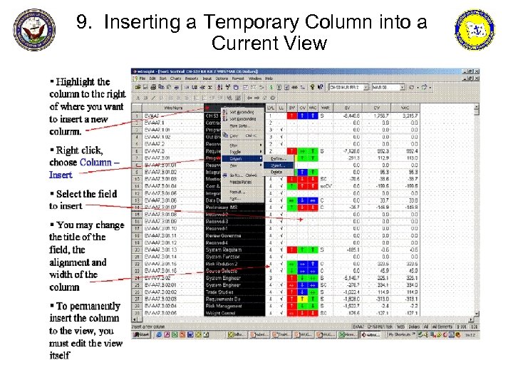 9. Inserting a Temporary Column into a Current View 