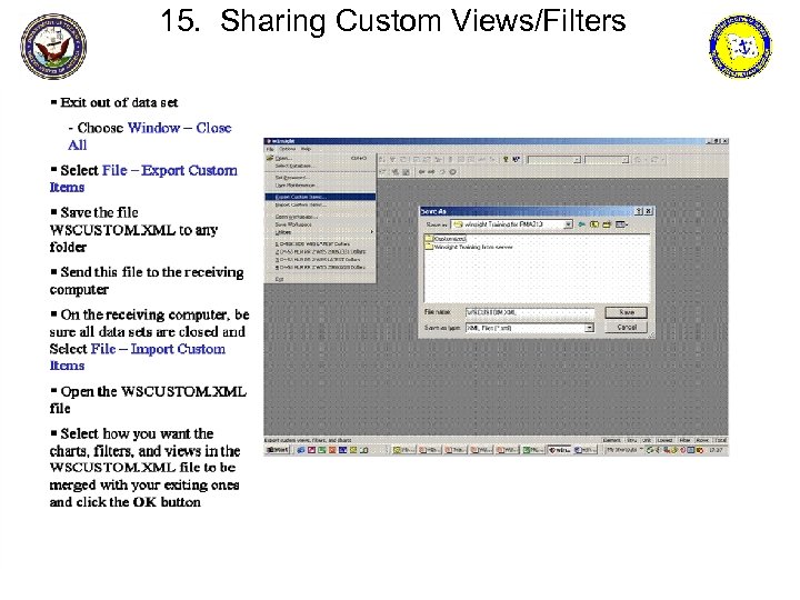 15. Sharing Custom Views/Filters 
