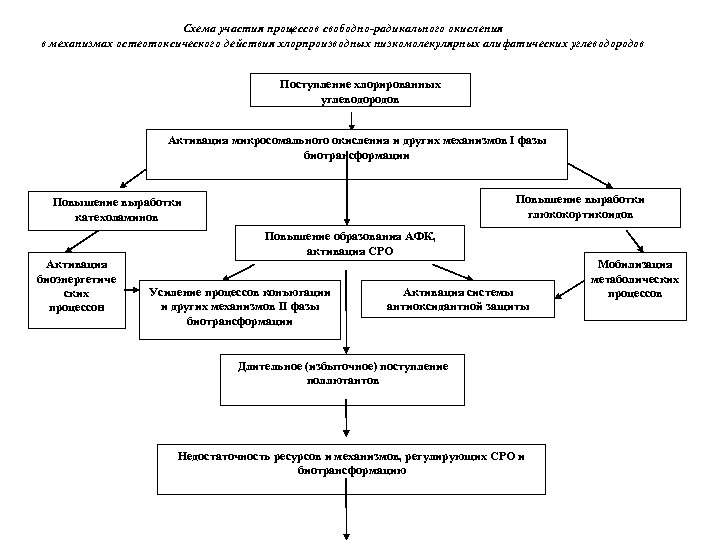 Схема участия процессов свободно-радикального окисления в механизмах остеотоксического действия хлорпроизводных низкомолекулярных алифатических углеводородов Поступление