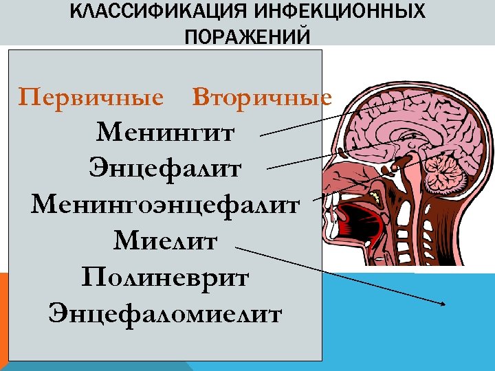 КЛАССИФИКАЦИЯ ИНФЕКЦИОННЫХ ПОРАЖЕНИЙ Первичные Вторичные Менингит Энцефалит Менингоэнцефалит Миелит Полиневрит Энцефаломиелит 