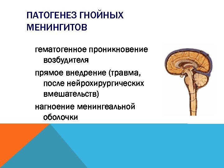 ПАТОГЕНЕЗ ГНОЙНЫХ МЕНИНГИТОВ гематогенное проникновение возбудителя прямое внедрение (травма, после нейрохирургических вмешательств) нагноение менингеальной