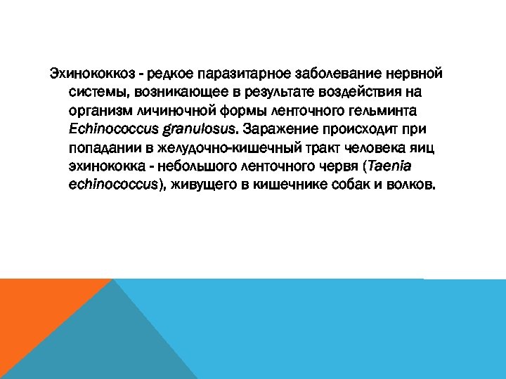 Эхинококкоз - редкое паразитарное заболевание нервной системы, возникающее в результате воздействия на организм личиночной