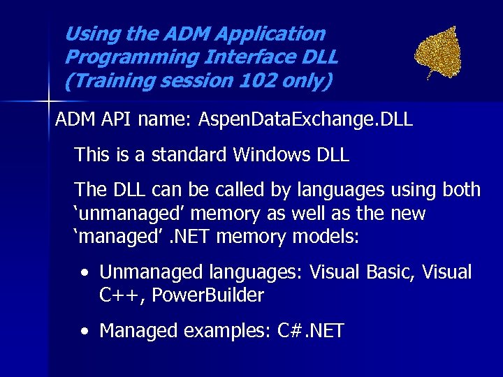 Using the ADM Application Programming Interface DLL (Training session 102 only) ADM API name: