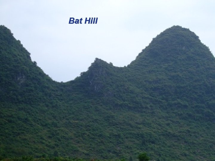 Bat Hill 2018/3/18 67 