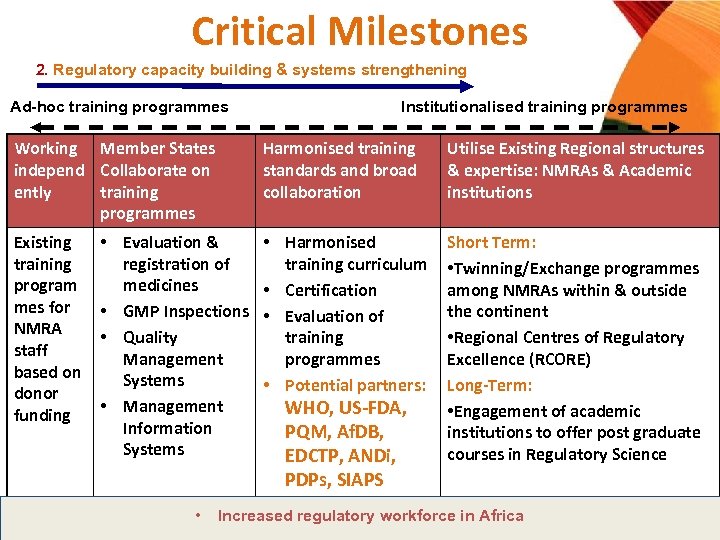 Critical Milestones 2. Regulatory capacity building & systems strengthening Ad-hoc training programmes Institutionalised training