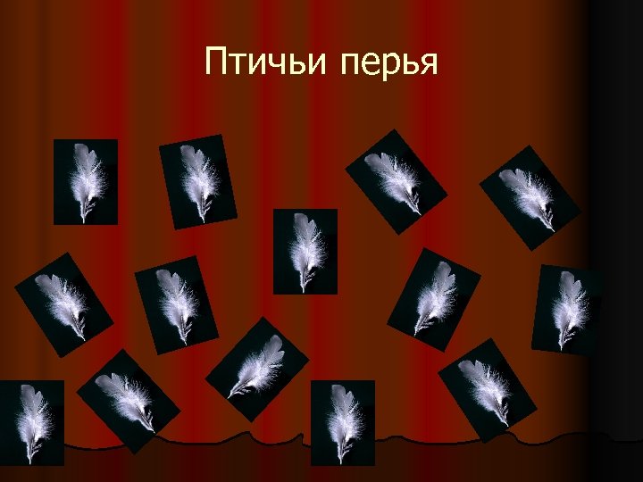 Птичьи перья 