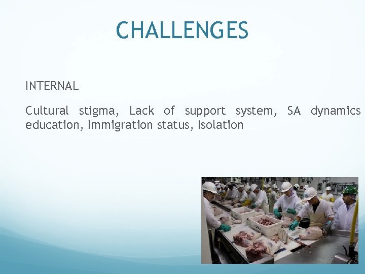 CHALLENGES INTERNAL Cultural stigma, Lack of support system, SA dynamics education, Immigration status, Isolation