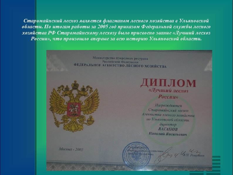 Старомайнский лесхоз является флагманом лесного хозяйства в Ульяновской области. По итогам работы за 2005