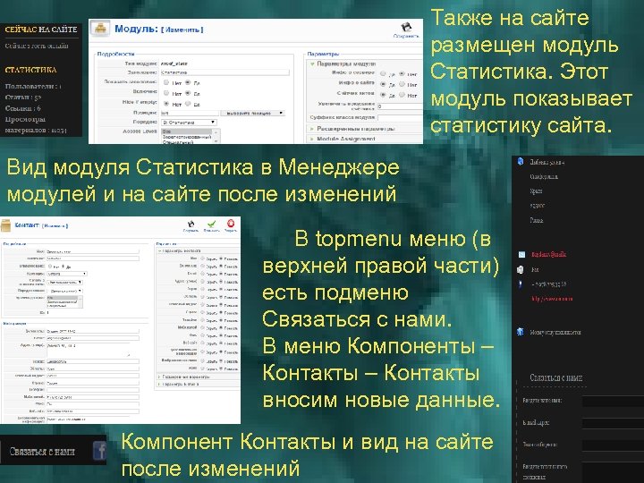 Также на сайте размещен модуль Статистика. Этот модуль показывает статистику сайта. Вид модуля Статистика