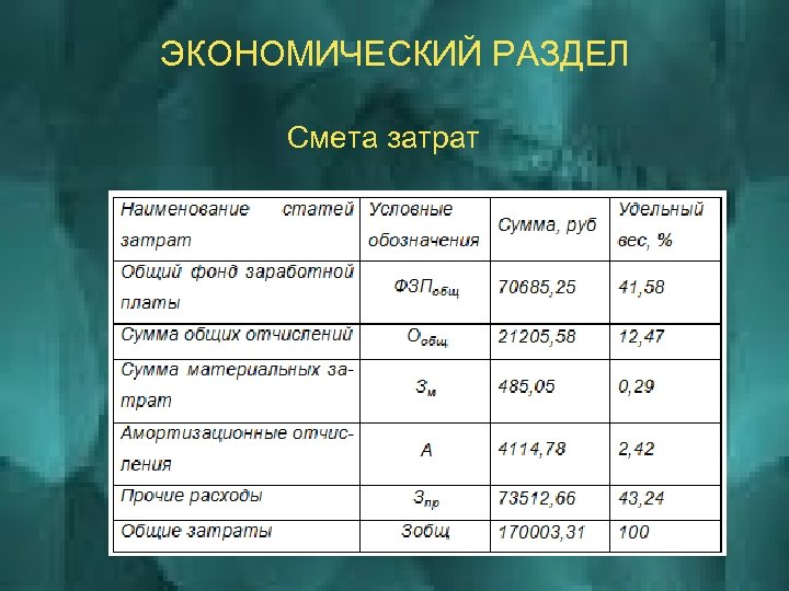 ЭКОНОМИЧЕСКИЙ РАЗДЕЛ Смета затрат 