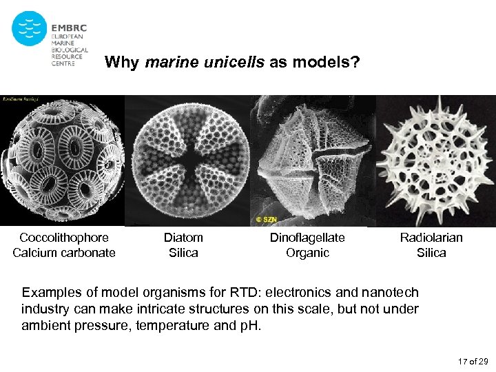 Why marine unicells as models? Coccolithophore Calcium carbonate Diatom Silica Dinoflagellate Organic Radiolarian Silica