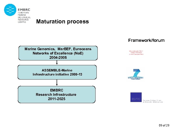 Maturation process Framework/forum Marine Genomics, Mar. BEF, Euroceans Networks of Excellence (No. E) 2004