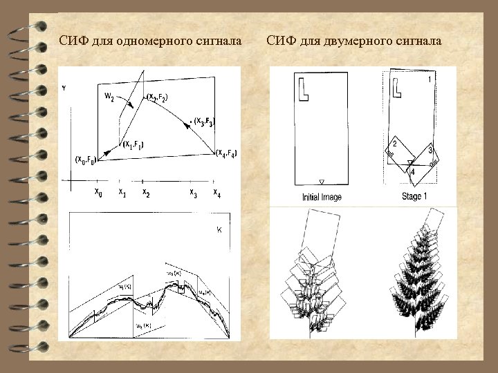 Генезис график. Схема биосигналы и их обработка. Sifu детективная схема. Биосигналы для презентации.