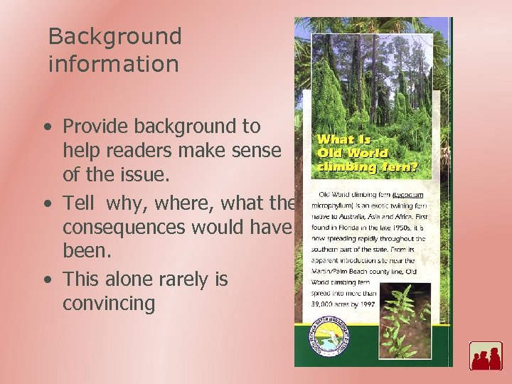 Background information • Provide background to help readers make sense of the issue. •