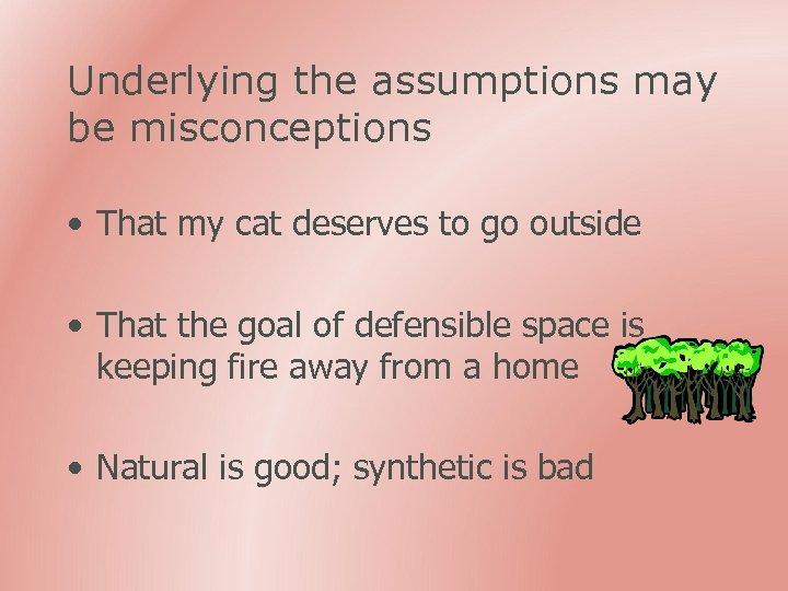 Underlying the assumptions may be misconceptions • That my cat deserves to go outside