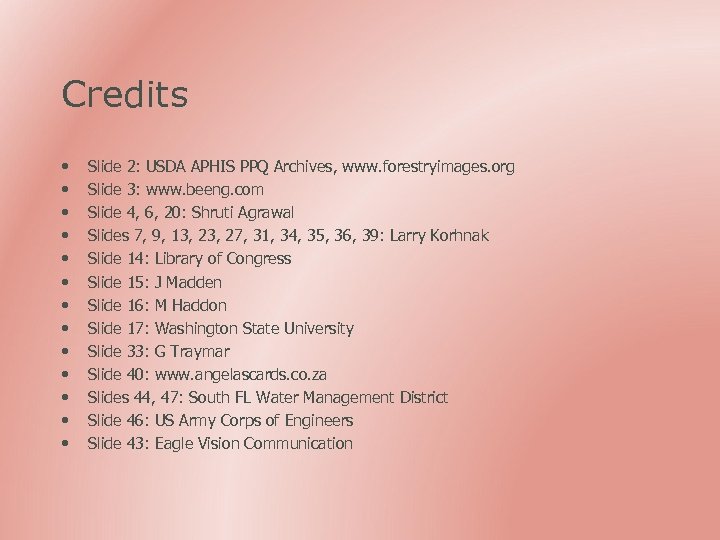 Credits • • • • Slide 2: USDA APHIS PPQ Archives, www. forestryimages. org