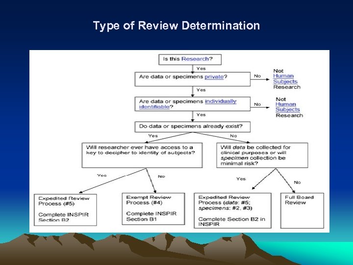 Type of Review Determination 