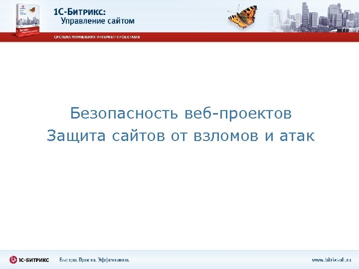 Безопасность веб-проектов Защита сайтов от взломов и атак 