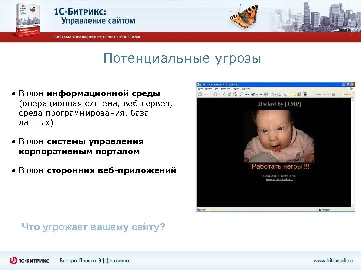 Потенциальные угрозы • Взлом информационной среды (операционная система, веб-сервер, среда программирования, база данных) •