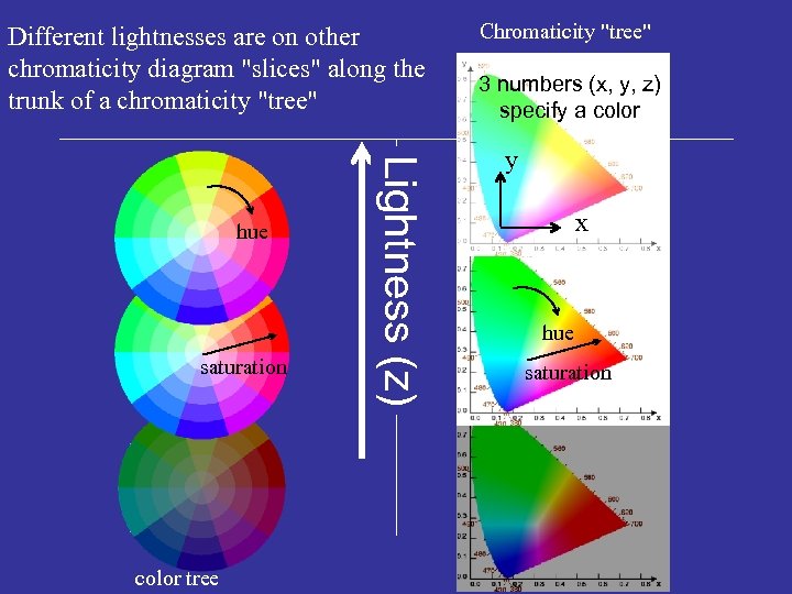 Different lightnesses are on other chromaticity diagram "slices" along the trunk of a chromaticity