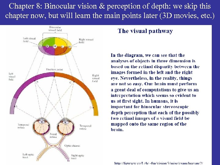 Chapter 8: Binocular vision & perception of depth: we skip this chapter now, but