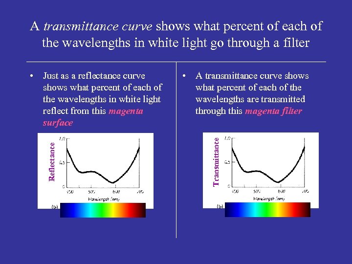 A transmittance curve shows what percent of each of the wavelengths in white light