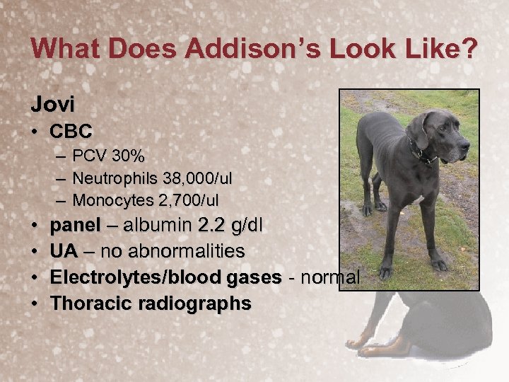What Does Addison’s Look Like? Jovi • CBC – – – • • PCV
