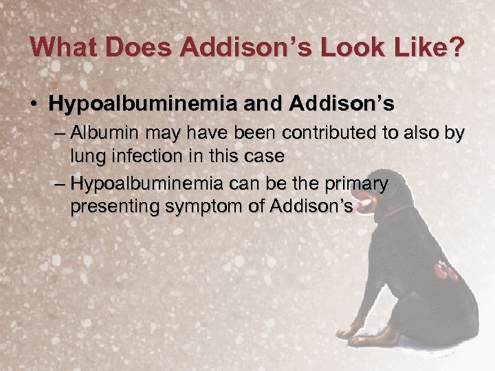 What Does Addison’s Look Like? • Hypoalbuminemia and Addison’s – Albumin may have been