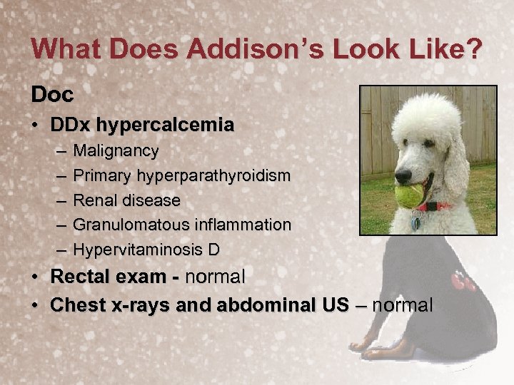 What Does Addison’s Look Like? Doc • DDx hypercalcemia – – – Malignancy Primary