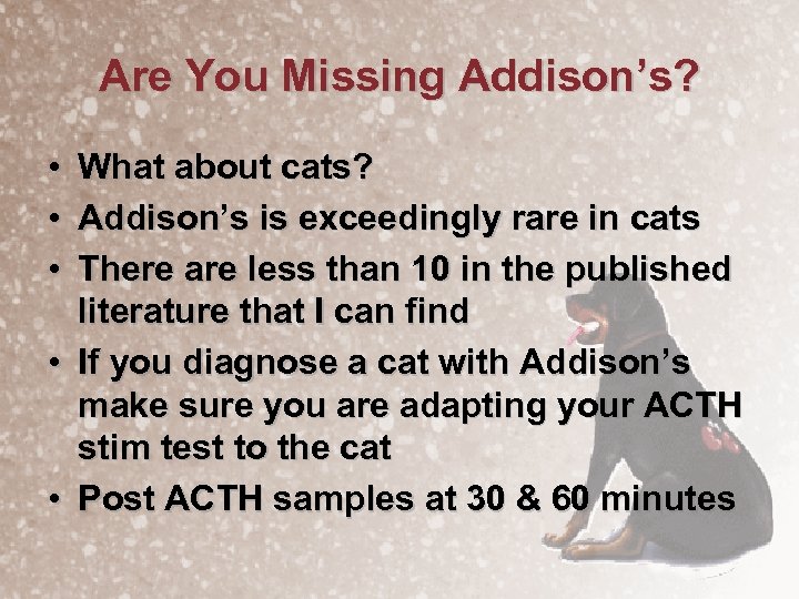 Are You Missing Addison’s? • • • What about cats? Addison’s is exceedingly rare