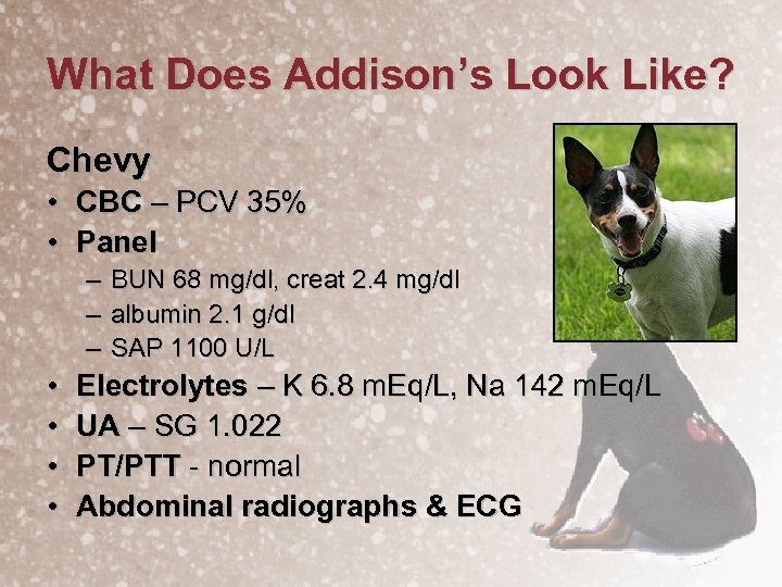 What Does Addison’s Look Like? Chevy • CBC – PCV 35% • Panel –