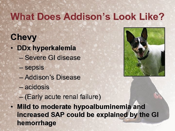 What Does Addison’s Look Like? Chevy • DDx hyperkalemia – Severe GI disease –