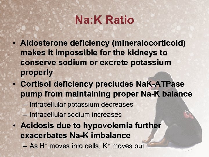 Na: K Ratio • Aldosterone deficiency (mineralocorticoid) makes it impossible for the kidneys to