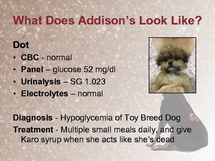 What Does Addison’s Look Like? Dot • • CBC - normal Panel – glucose