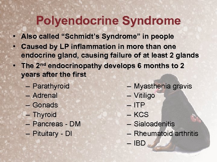 Polyendocrine Syndrome • Also called “Schmidt’s Syndrome” in people • Caused by LP inflammation
