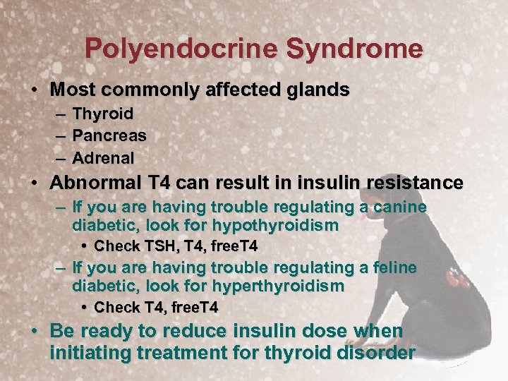 Polyendocrine Syndrome • Most commonly affected glands – – – Thyroid Pancreas Adrenal •
