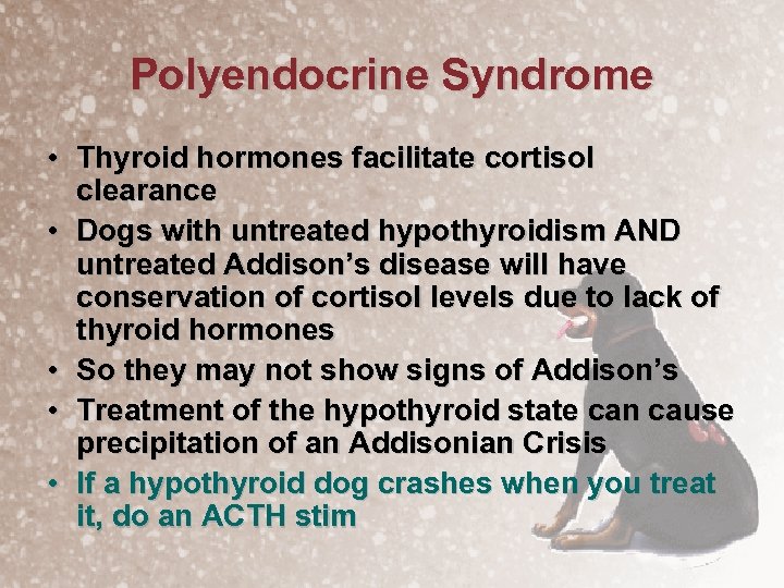 Polyendocrine Syndrome • Thyroid hormones facilitate cortisol clearance • Dogs with untreated hypothyroidism AND