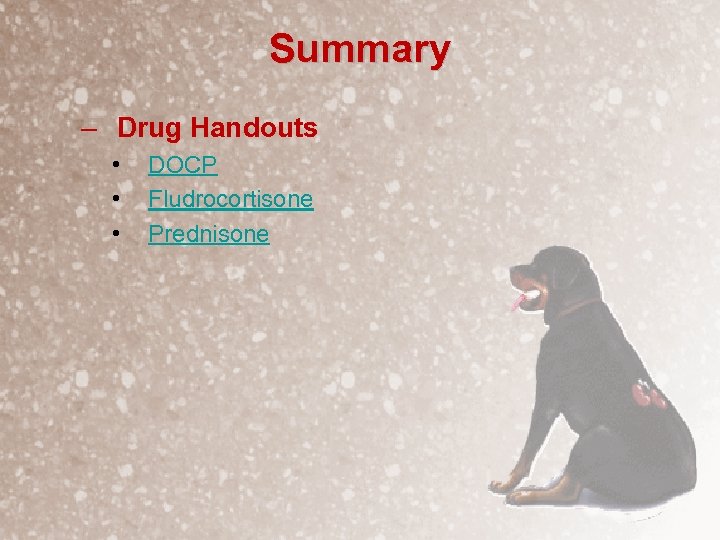 Summary – Drug Handouts • • • DOCP Fludrocortisone Prednisone 