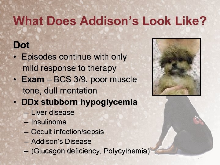 What Does Addison’s Look Like? Dot • Episodes continue with only mild response to