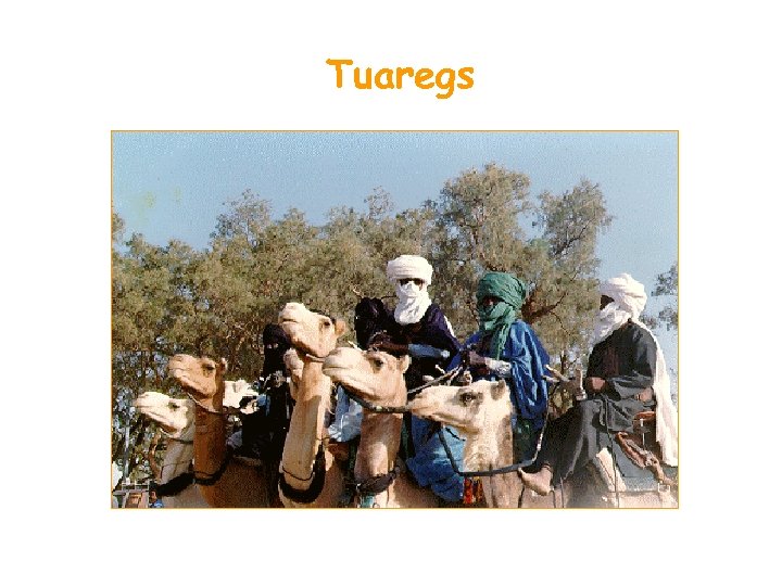 Tuaregs 