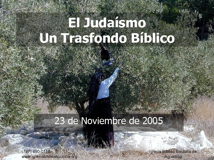 El Judaísmo Un Trasfondo Bíblico 23 de Noviembre de 2005 (787) 890 -0118 www.
