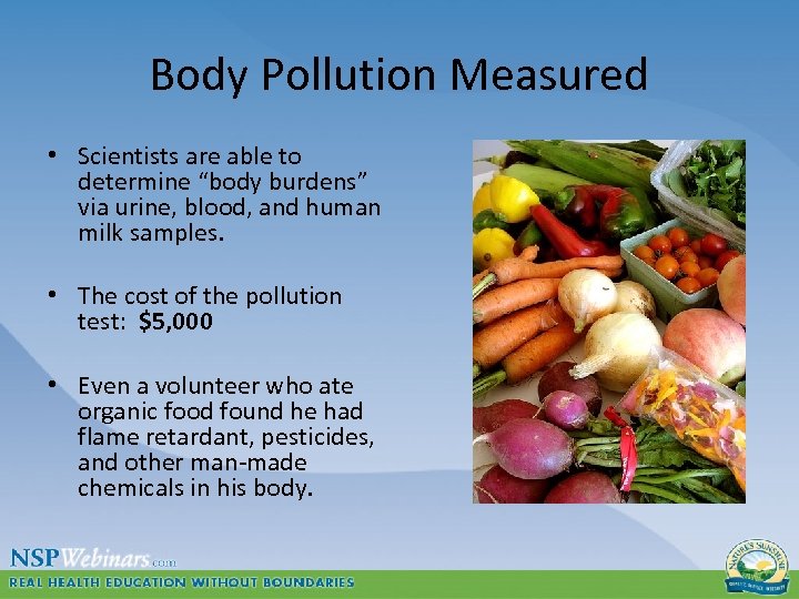 Body Pollution Measured • Scientists are able to determine “body burdens” via urine, blood,