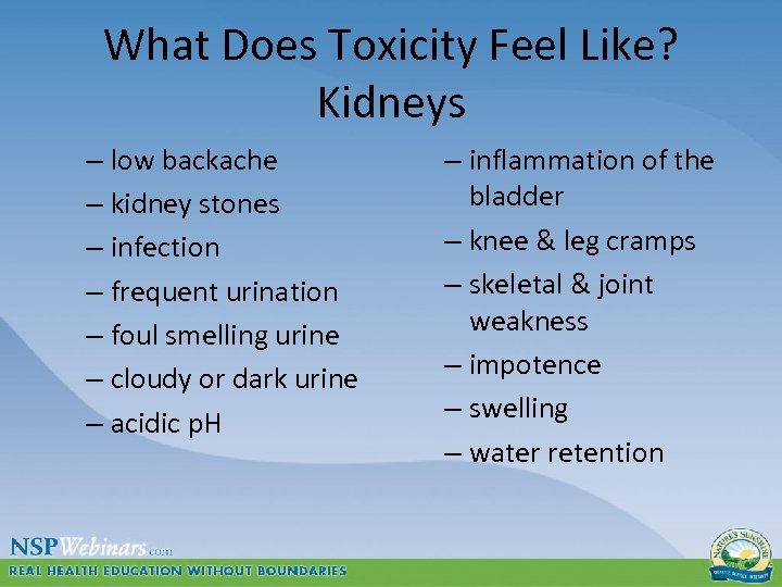 What Does Toxicity Feel Like? Kidneys – low backache – kidney stones – infection