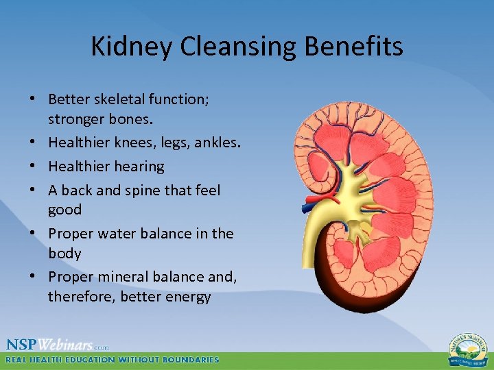 Kidney Cleansing Benefits • Better skeletal function; stronger bones. • Healthier knees, legs, ankles.