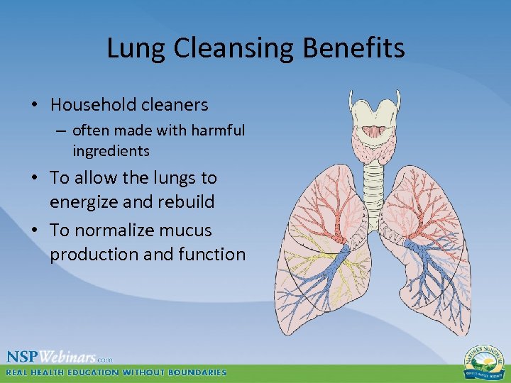 Lung Cleansing Benefits • Household cleaners – often made with harmful ingredients • To
