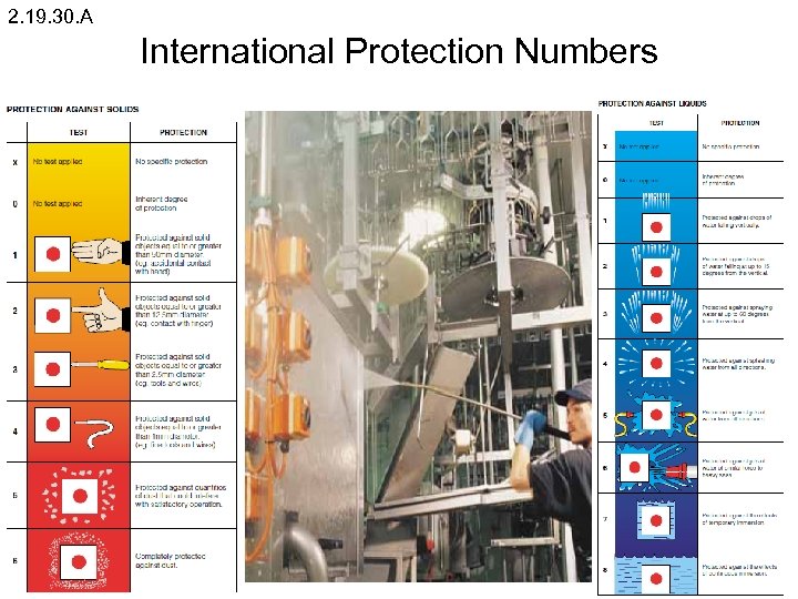 2. 19. 30. A International Protection Numbers 