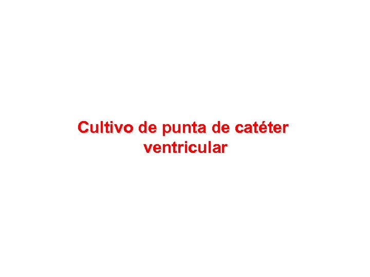 Cultivo de punta de catéter ventricular 