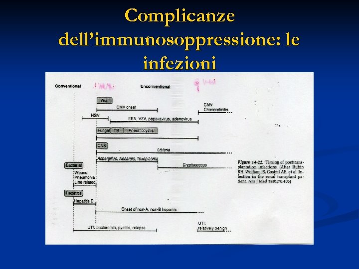 Complicanze dell’immunosoppressione: le infezioni 