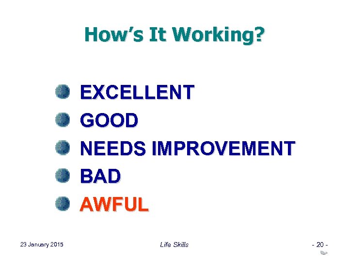 How’s It Working? EXCELLENT GOOD NEEDS IMPROVEMENT BAD AWFUL 23 January 2015 Life Skills